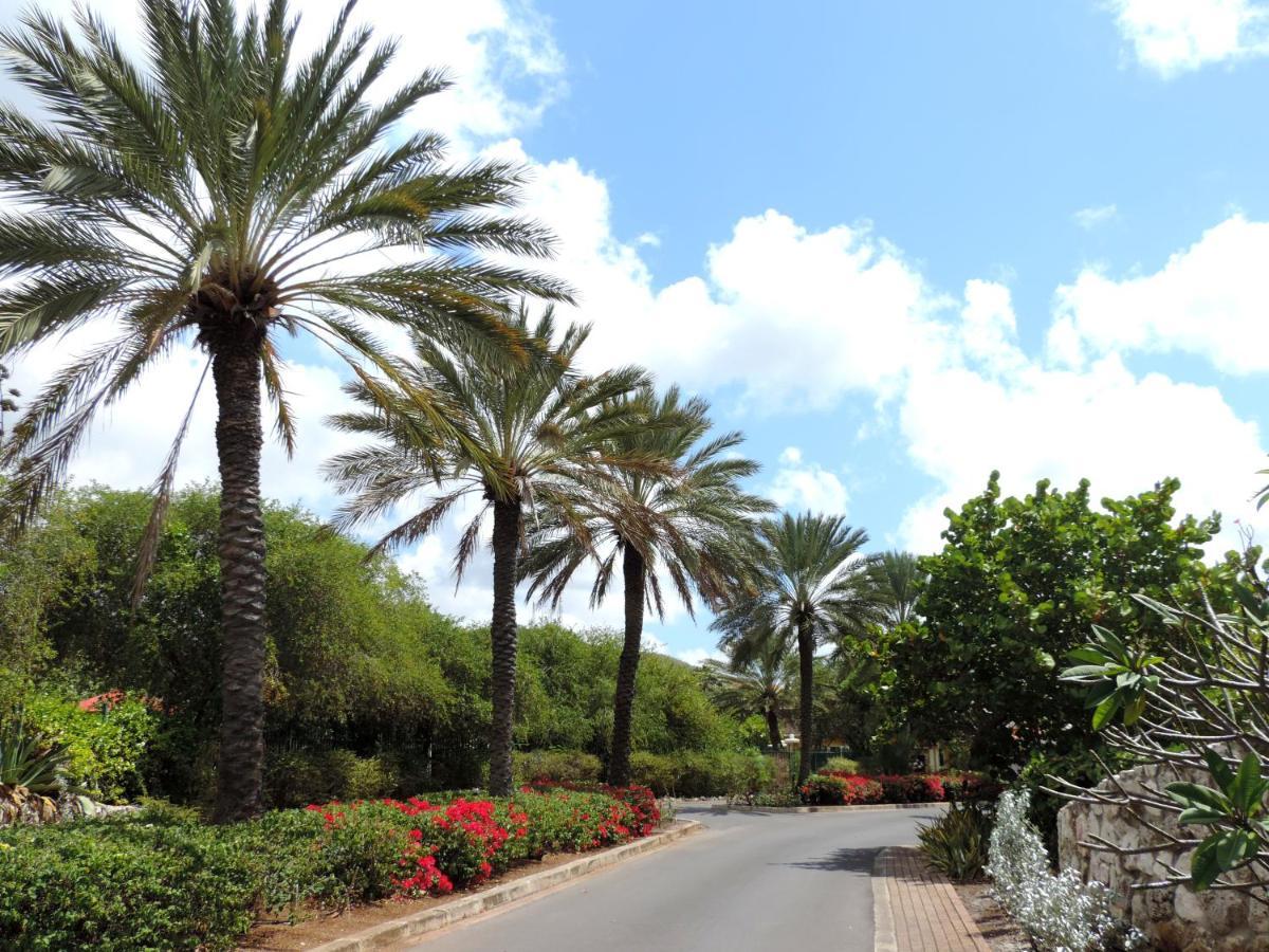 Piscadera Bay Resort 24 Βίλλεμσταντ Εξωτερικό φωτογραφία